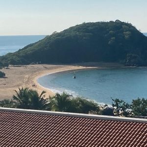 Meet your Posher, Martha